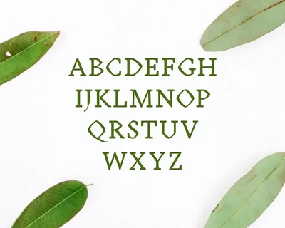 Achazia Serif Font Family Pack