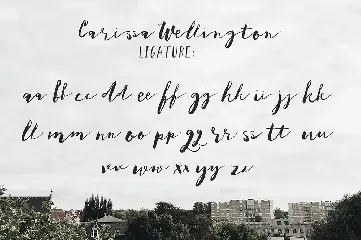 Carissa Wellington font