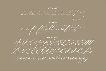 Beautilina Premium Script Font