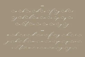 Beautilina Premium Script Font