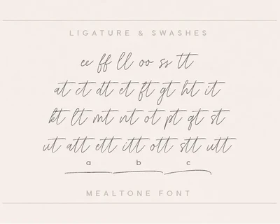 Mealtone Signature Script Font
