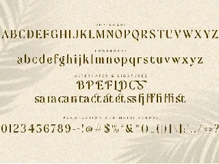 Mofista-Nostalgic Serif Typeface font