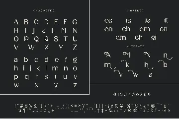 Nifa Unique Sans Serif Typeface font