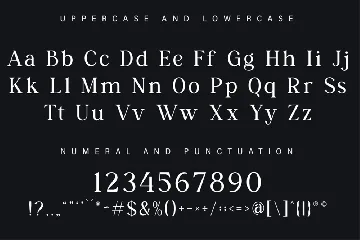 Modern Serif Font