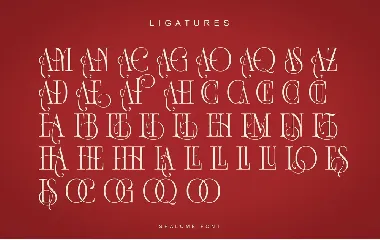 Shalome font