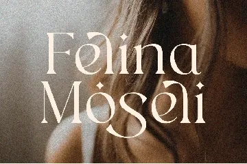 Agina Elegant Classic Serif Font