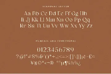 Agina Elegant Classic Serif Font