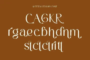 Modern Elegant Serif Typeface font