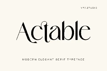 Modern Elegant Serif Typeface font