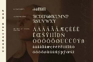 Gafigste A Modern Serif Font