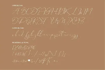 Falminga Charia Script Font