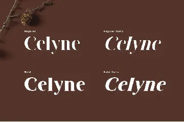 Sorhe Elegant Serif Font