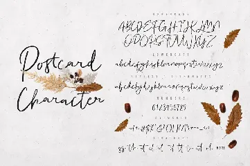 Postcard Script font