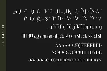 Hagmolya A Ornament Serif Font