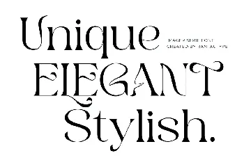 Imager Elegant Unique Serif Font