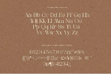 Imager Elegant Unique Serif Font