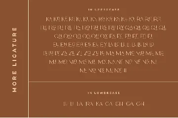 Lastri Ligature Sans Serif Font