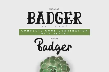 Badger Typeface font