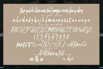 Malikec | Mono Script Font