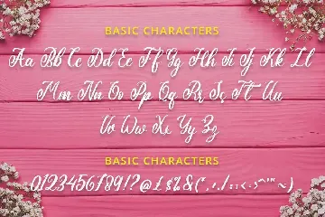 Script Font