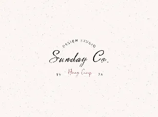 Handwritten fancy font