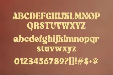 Winky Milky Elegant Serif Font