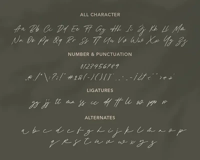 Signature Script Font