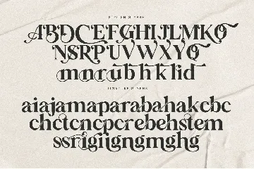 Bakilda Histori Serif Font