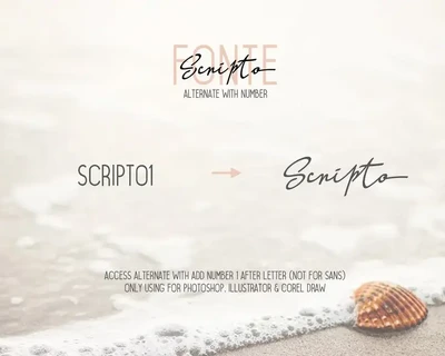 Scripto Fonte Font Duo