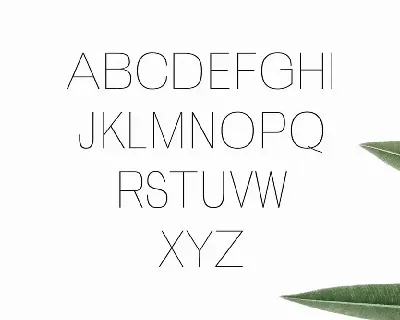 Zevida Sans Serif Font Family