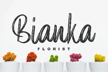 Elpanas - Beauty Brush Script font