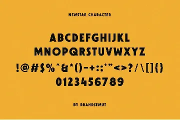 Newstar || Nostalgic Sans Serif font