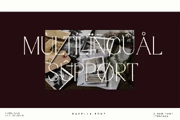 Elegant Luxury Serif Display Font