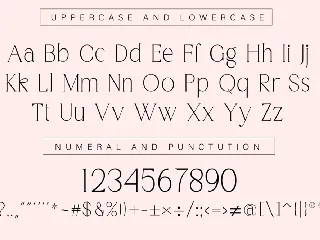 Elegant Luxury Serif Display Font
