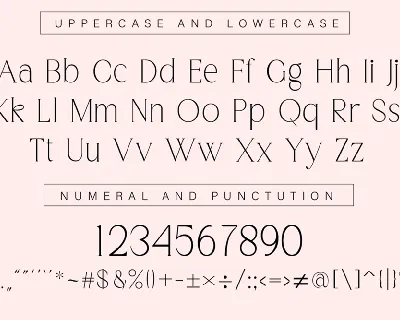 Elegant Luxury Serif Display Font