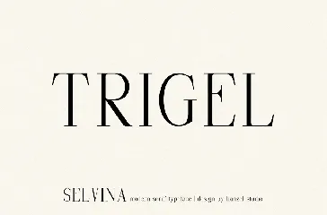 Selvina | a classic serif font