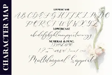 Gashina Lattiva Beautiful Script font