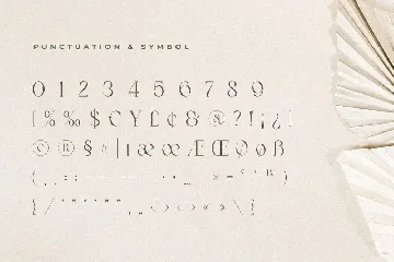 Kingdom - Elegant Stylish Serif font