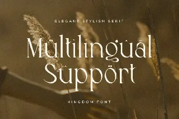 Kingdom - Elegant Stylish Serif font