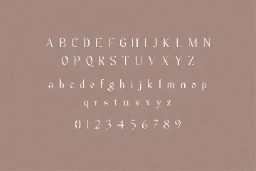 Milane - Classic Serif Font