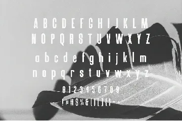 Brownland â€“ Modern Condensed Sans Serif font
