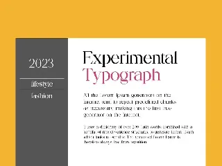 Sarconlenta Elegant Serif Font