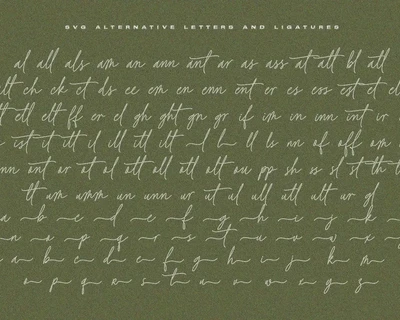 Baked Salmon - Monoline and Singleline font