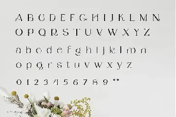 Lequis - Classic Serif Font