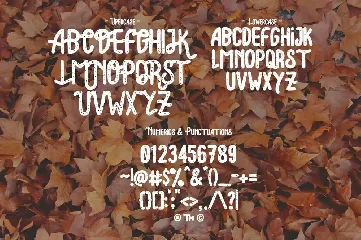 Lonsdale Typeface font