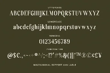 Native Stories - Classic Serif Font