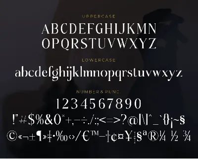Doknatle A Modern Serif Font
