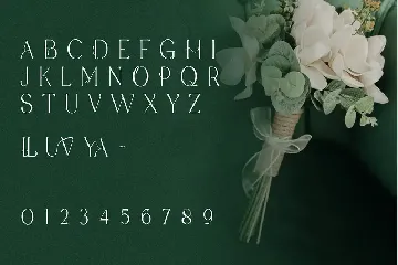 Agelya - Classic Serif Font