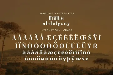 Basfegu A New Display Serif Font