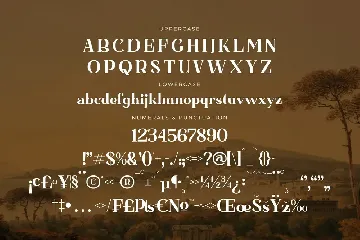 Basfegu A New Display Serif Font